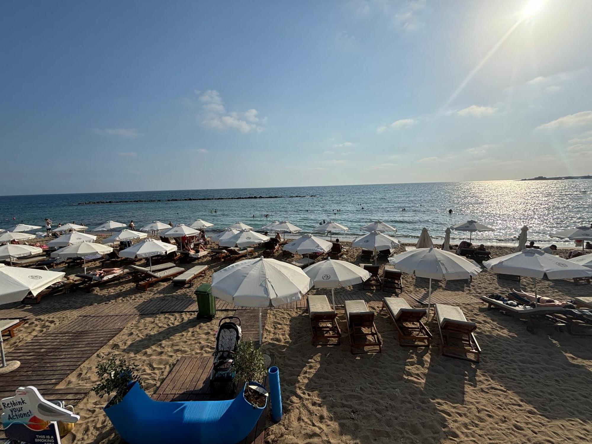 1B Seaside Orchid, Sea, Center Διαμέρισμα Πάφος Εξωτερικό φωτογραφία